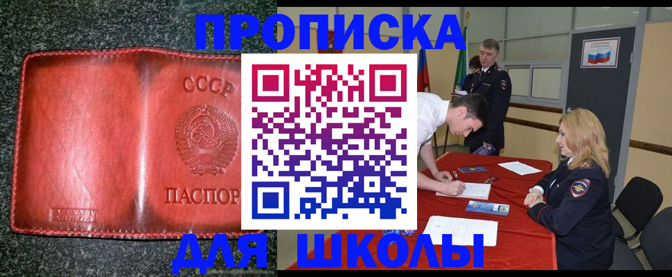 прописка в квартире в Мытищах